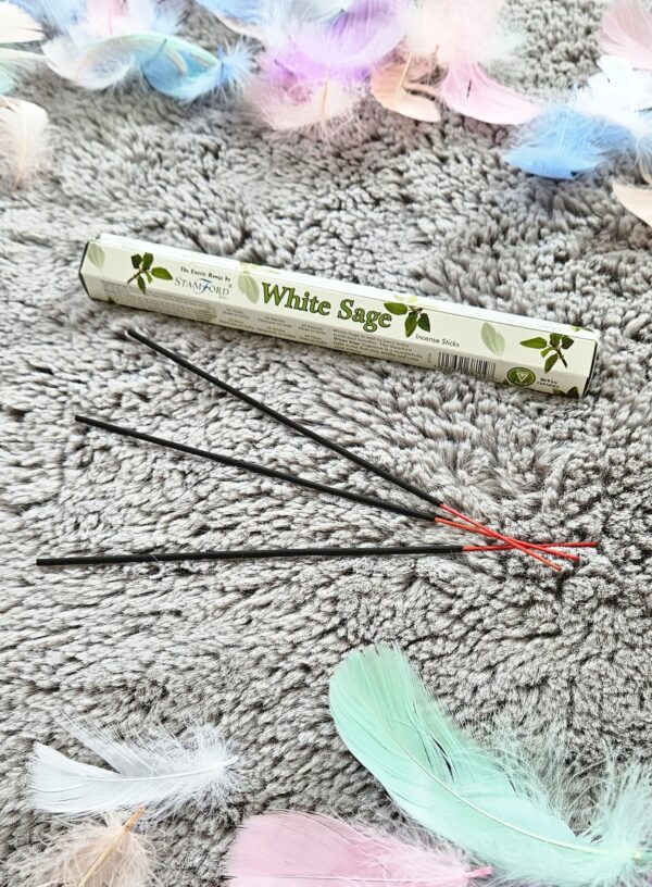 Bâtonnets d’encens naturels à la sauge blanche – nettoie les énergies et apaise l’atmosphère